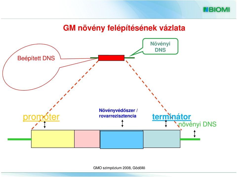 DNS promóter Növényvédőszer /