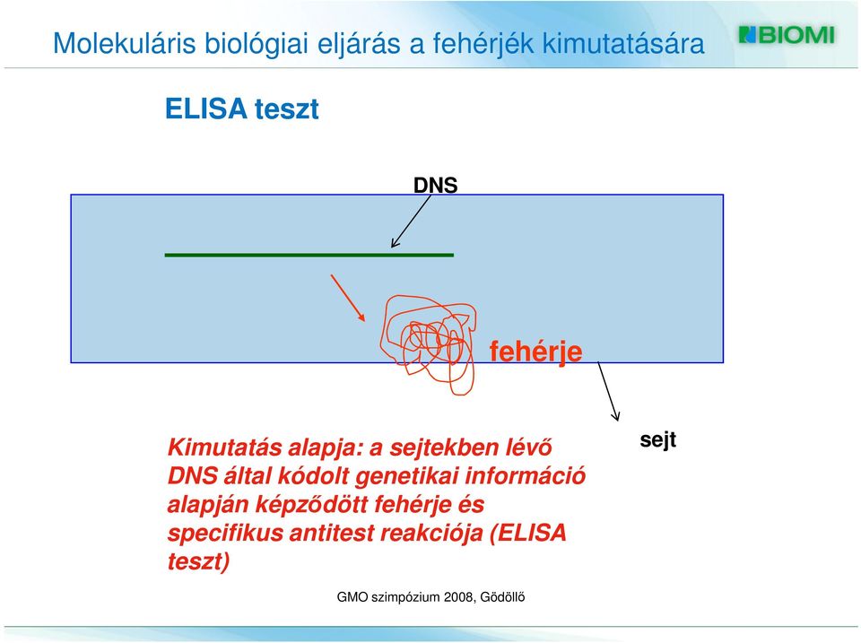 lévő DNS által kódolt genetikai információ alapján