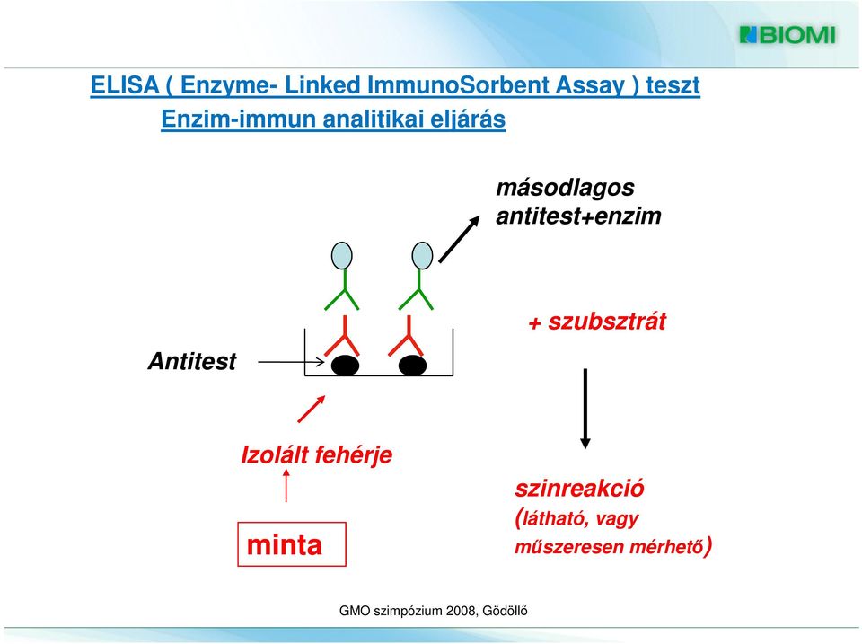 antitest+enzim Antitest + szubsztrát Izolált