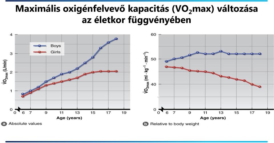 kapacitás (VO 2