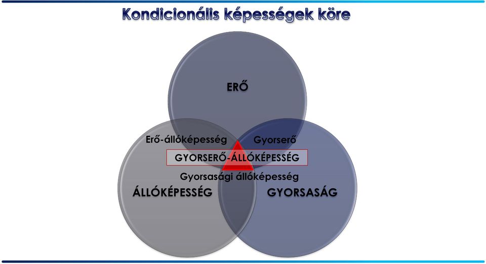 Immunerősítő szerek hatása