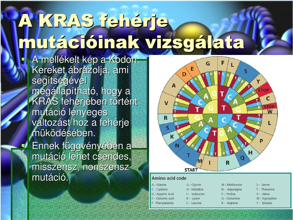 fehérj rjében törtt rtént mutáci ció lényeges változást hoz a fehérje