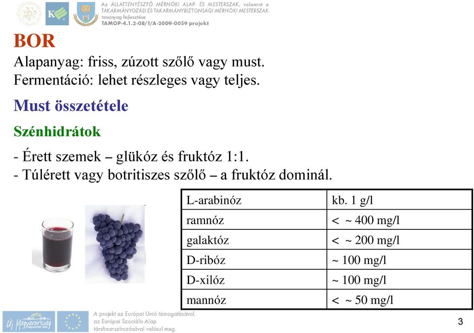 Must összetétele Szénhidrátok - Érett szemek glükóz és fruktóz 1:1.