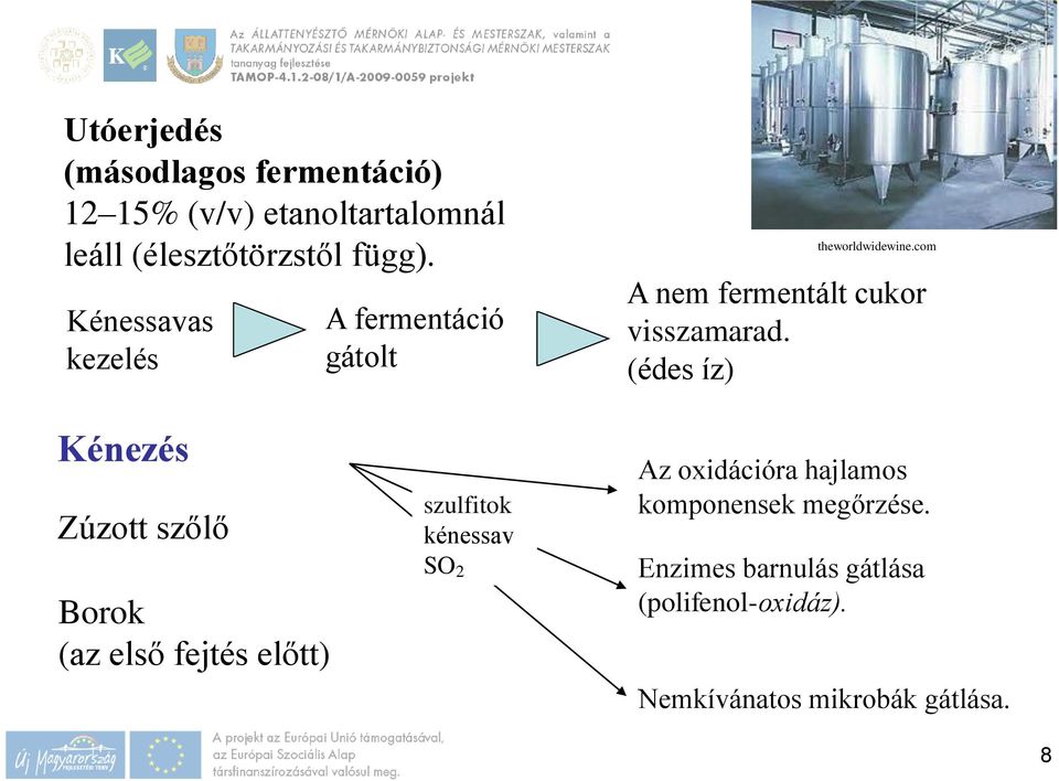 (édes íz) Kénezés Zúzott szőlő Borok (az első fejtés előtt) szulfitok kénessav SO 2 Az oxidációra