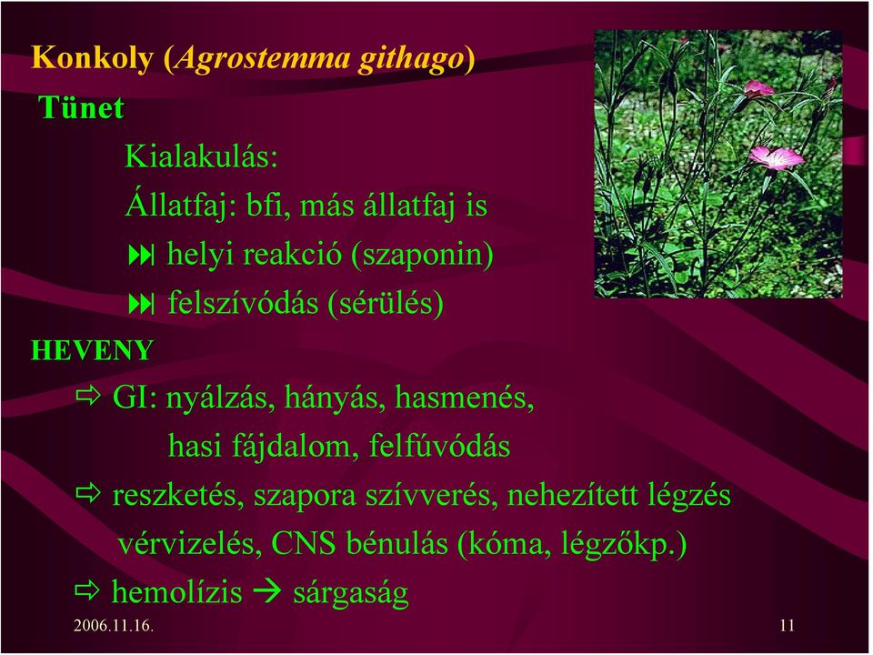 hasmenés, hasi fájdalom, felfúvódás reszketés, szapora szívverés, nehezített