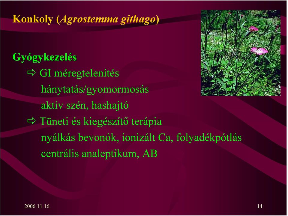 hashajtó Tüneti és kiegészítő terápia nyálkás bevonók,