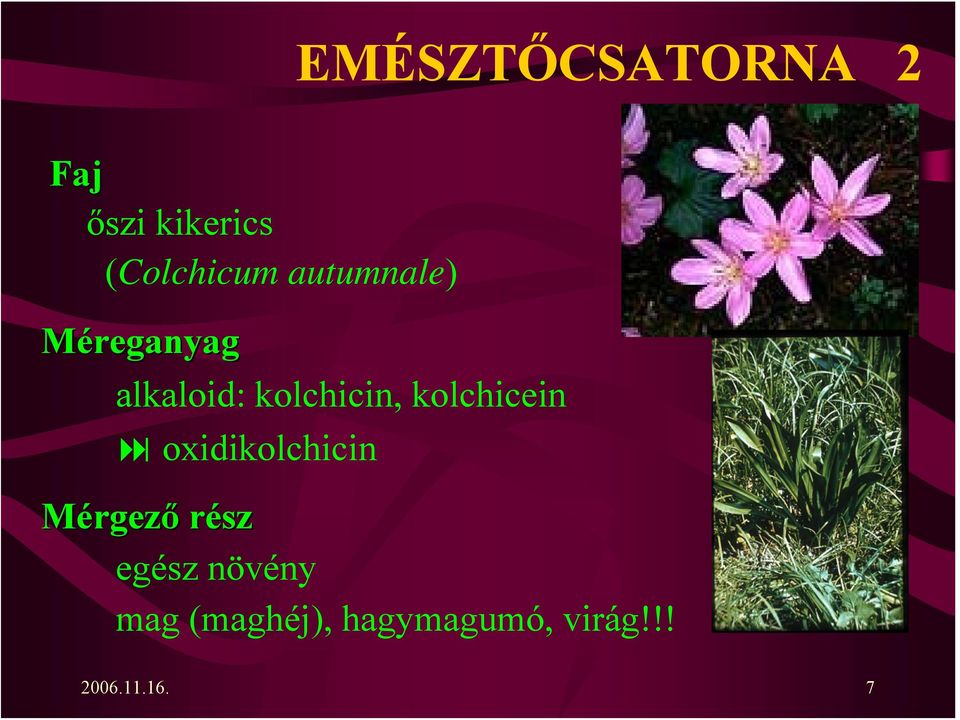 kolchicein oxidikolchicin Mérgező rész Mérgező