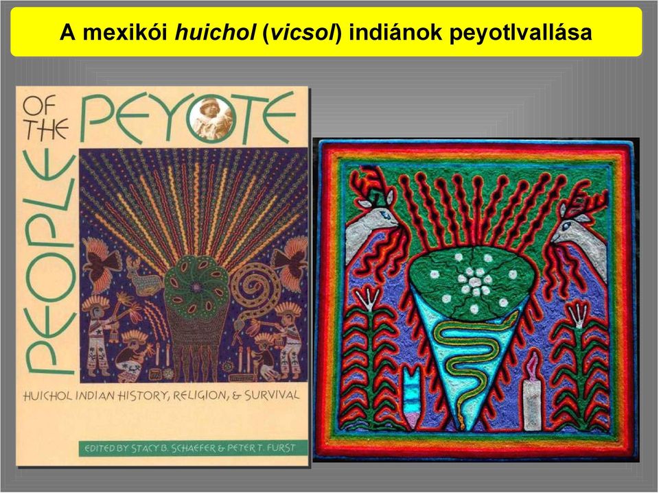 (vicsol)