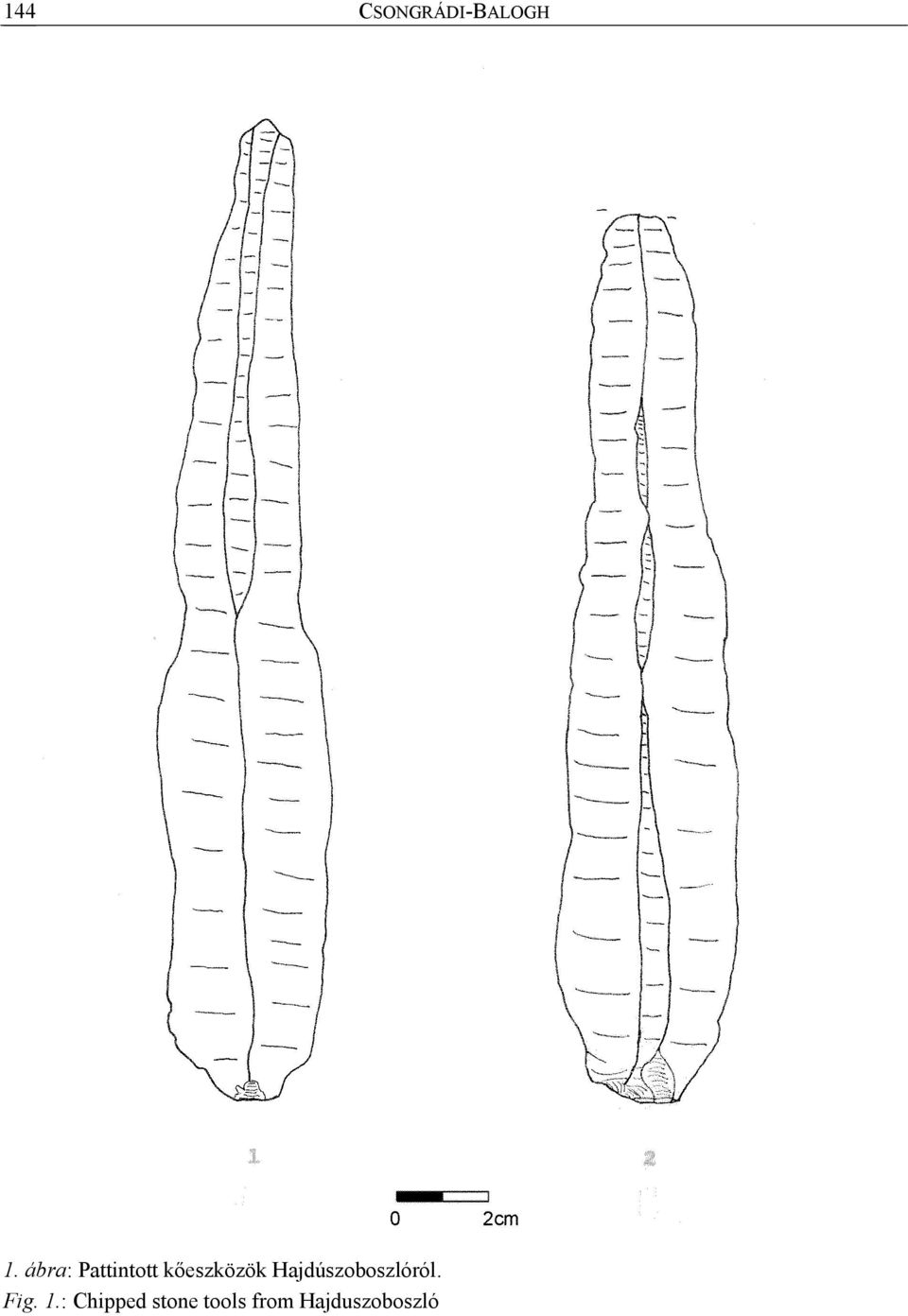 Hajdúszoboszlóról. Fig. 1.
