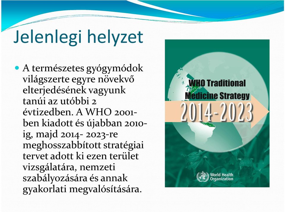 A WHO 2001ben kiadott és újabban 2010ig, majd 2014-2023-re meghosszabbított