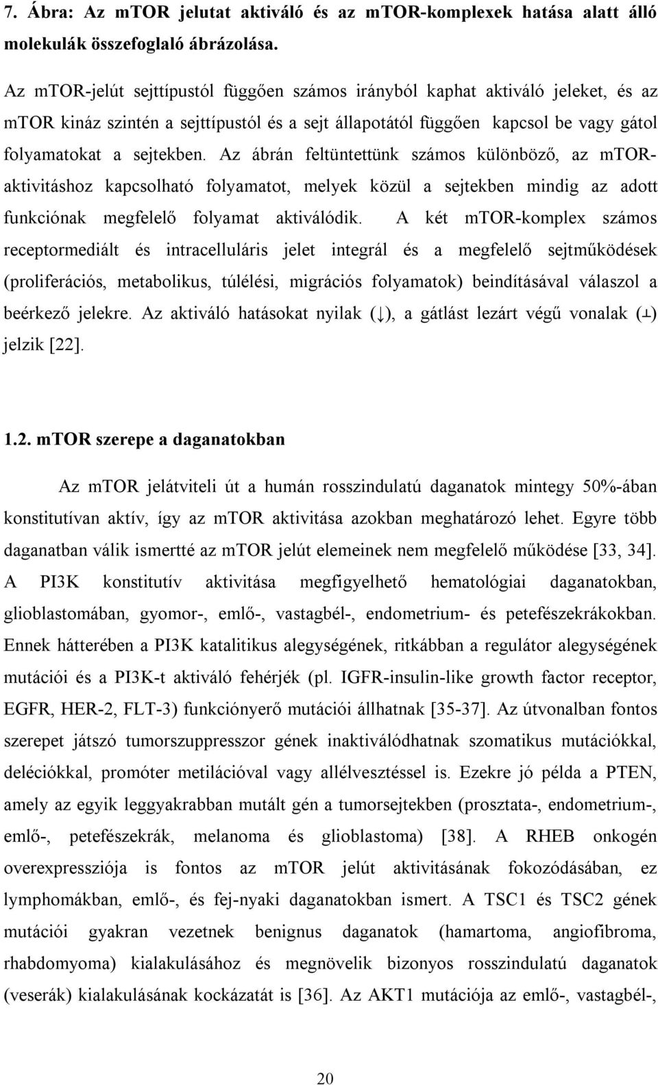 Az ábrán feltüntettünk számos különböző, az mtoraktivitáshoz kapcsolható folyamatot, melyek közül a sejtekben mindig az adott funkciónak megfelelő folyamat aktiválódik.