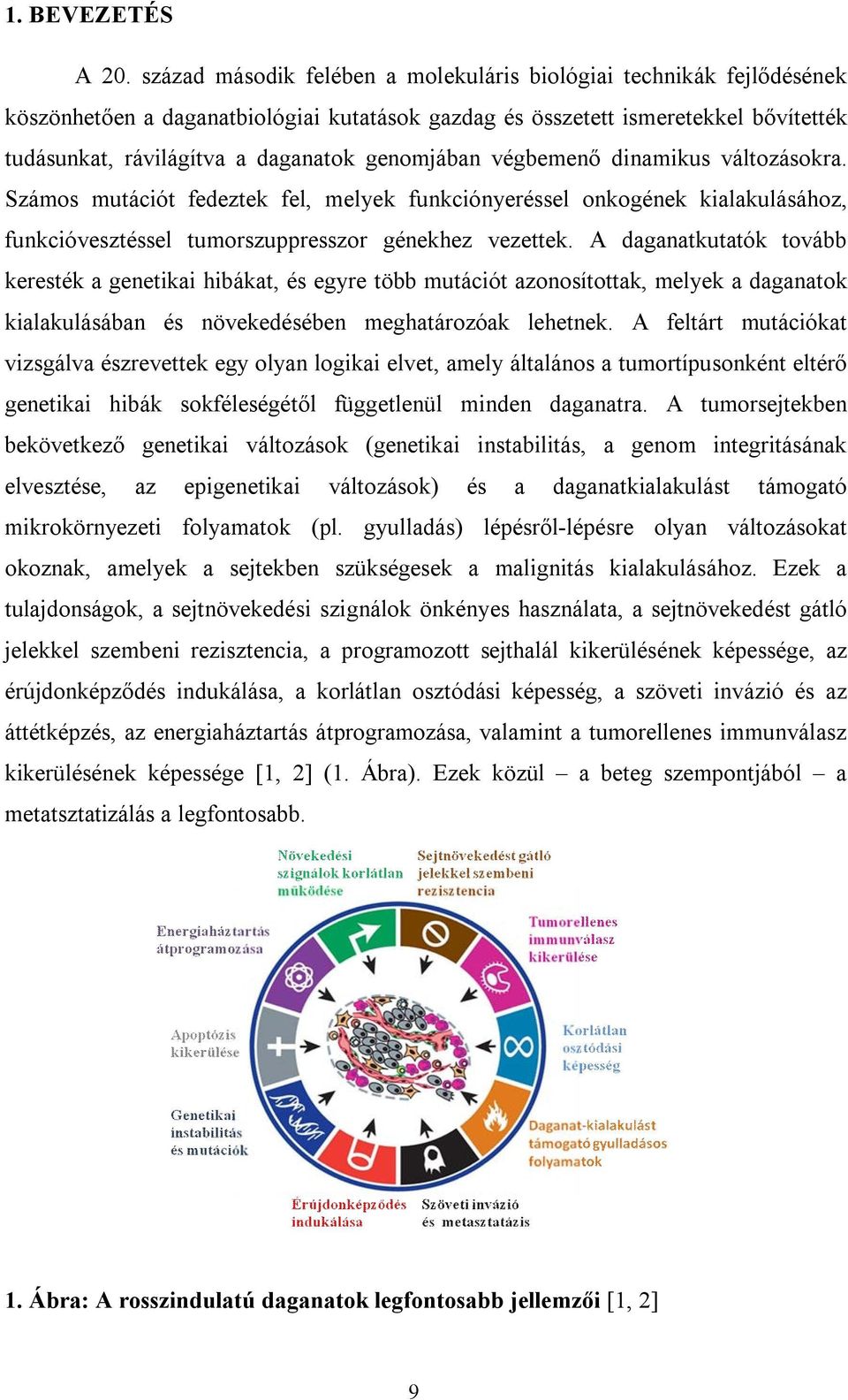 genomjában végbemenő dinamikus változásokra. Számos mutációt fedeztek fel, melyek funkciónyeréssel onkogének kialakulásához, funkcióvesztéssel tumorszuppresszor génekhez vezettek.