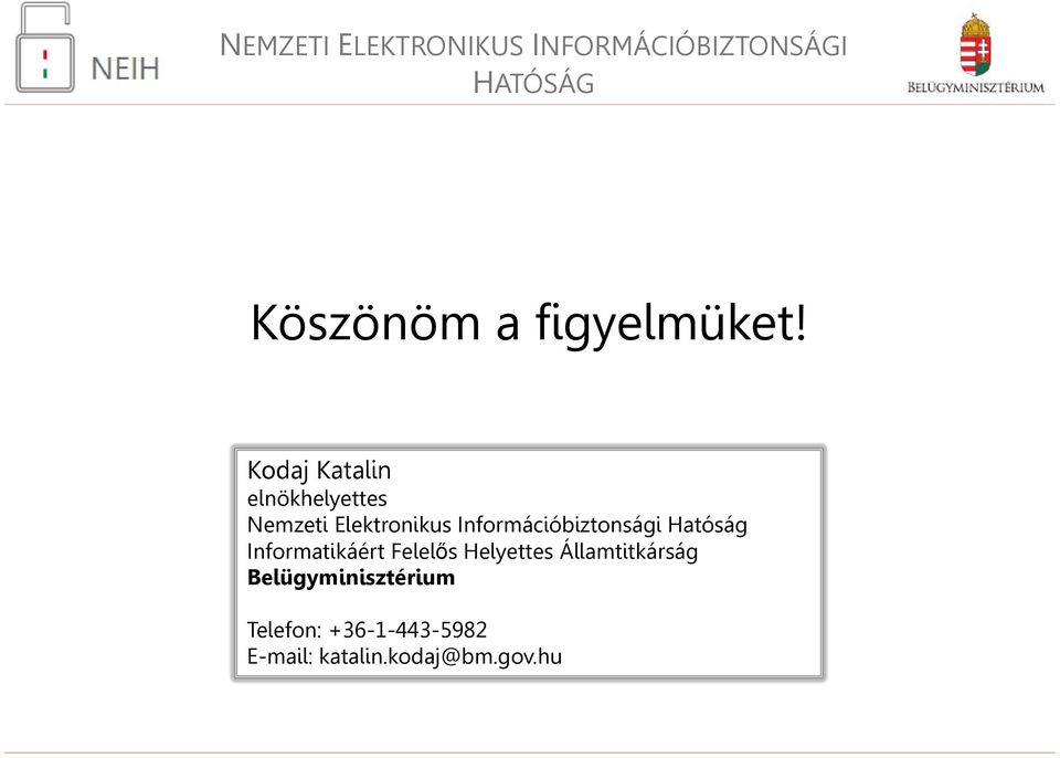 Információbiztonsági Hatóság Informatikáért Felelős