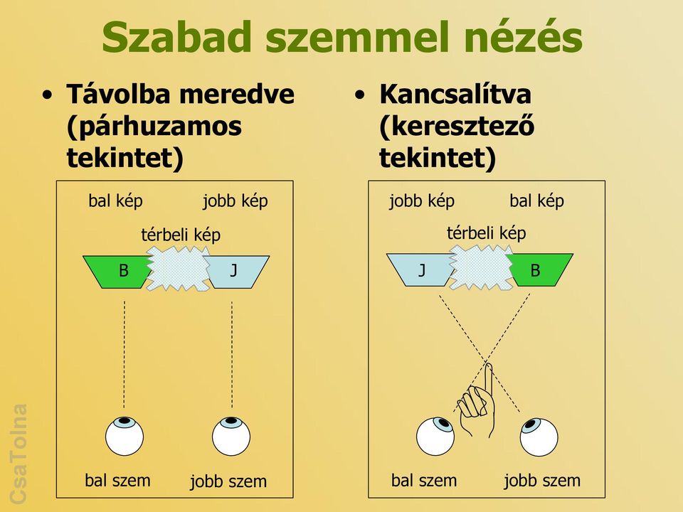 (keresztező tekintet) jobb kép térbeli kép