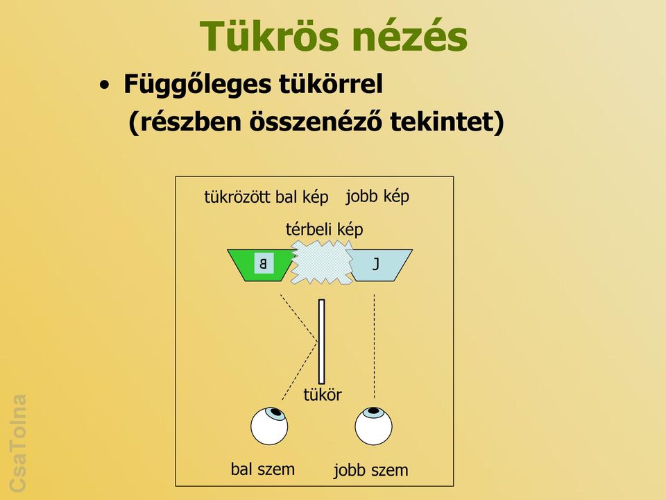 tekintet) jobb kép tükrözött