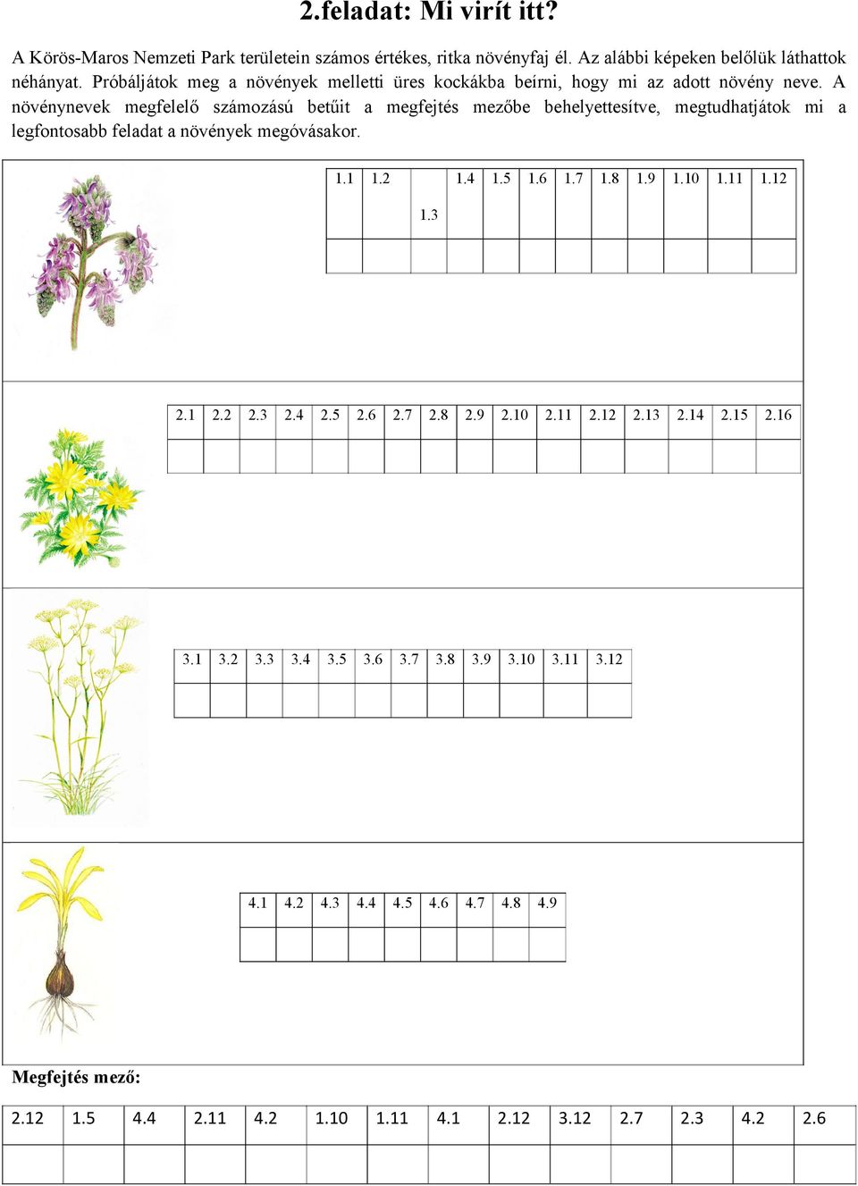 A növénynevek megfelelő számozású betűit a megfejtés mezőbe behelyettesítve, megtudhatjátok mi a legfontosabb feladat a növények megóvásakor. 1.1 1.2 1.4 1.5 1.6 1.