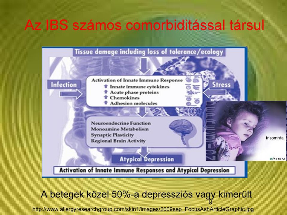 kimerült 9 http://www.allergyresearchgroup.