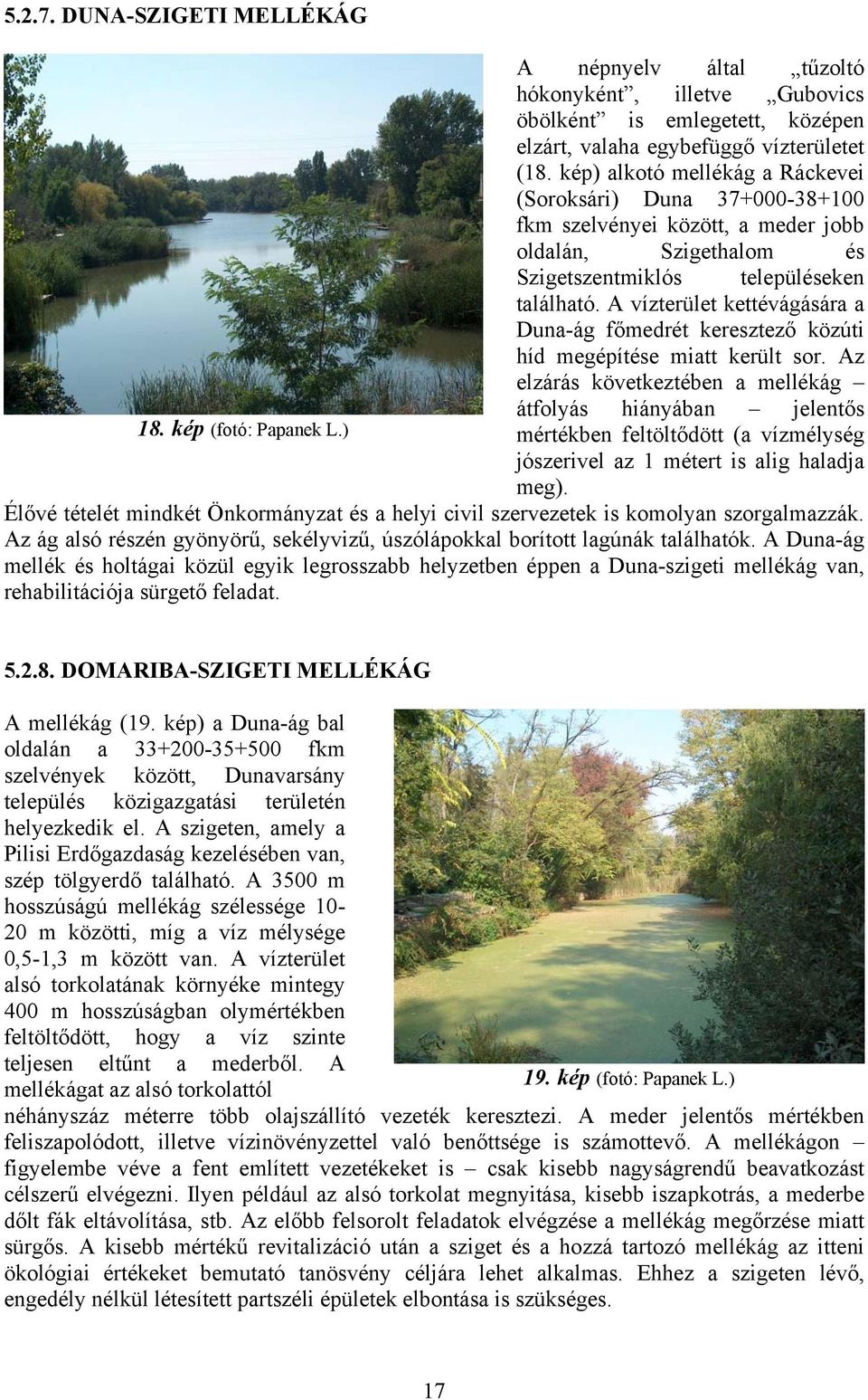A vízterület kettévágására a Duna-ág főmedrét keresztező közúti híd megépítése miatt került sor.