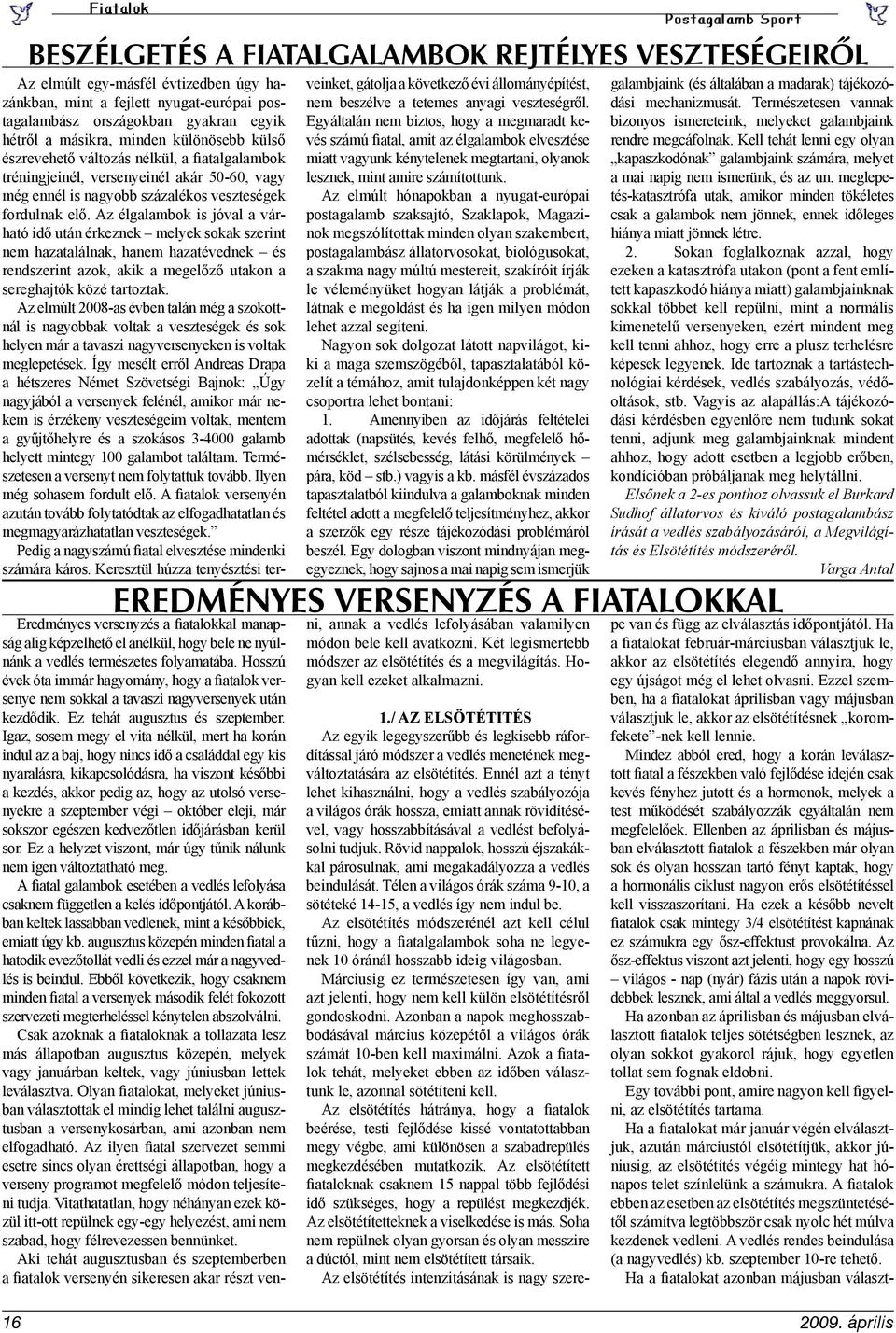 fordulnak elő. Az élgalambok is jóval a várható idő után érkeznek melyek sokak szerint nem hazatalálnak, hanem hazatévednek és rendszerint azok, akik a megelőző utakon a sereghajtók közé tartoztak.