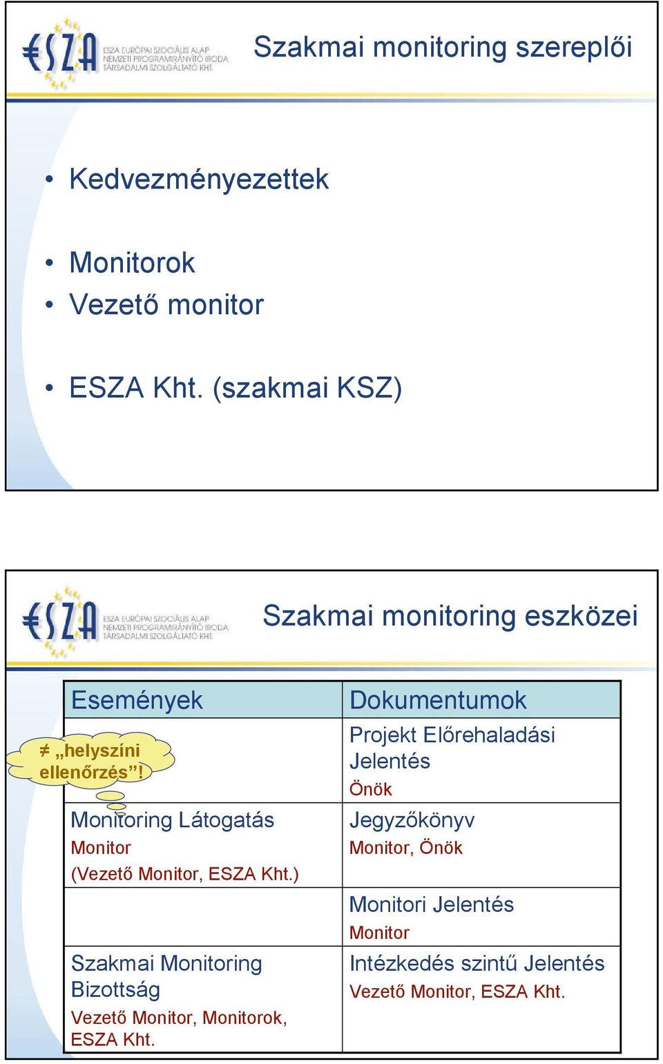 Monitoring Látogatás Monitor (Vezető Monitor, ESZA Kht.