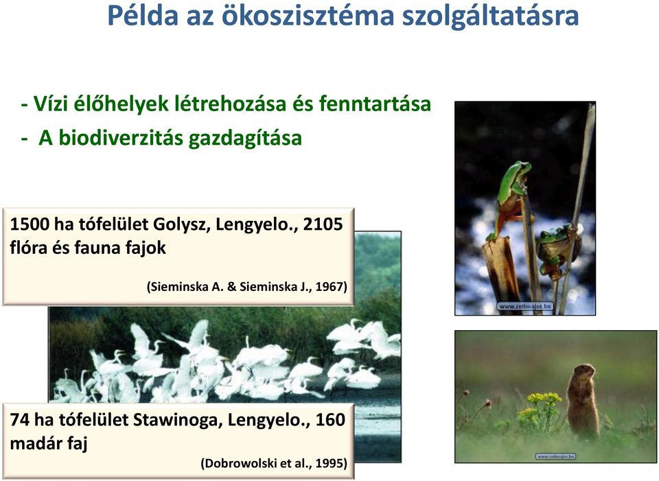 Lengyelo., 2105 flóra és fauna fajok (Sieminska A. & Sieminska J.