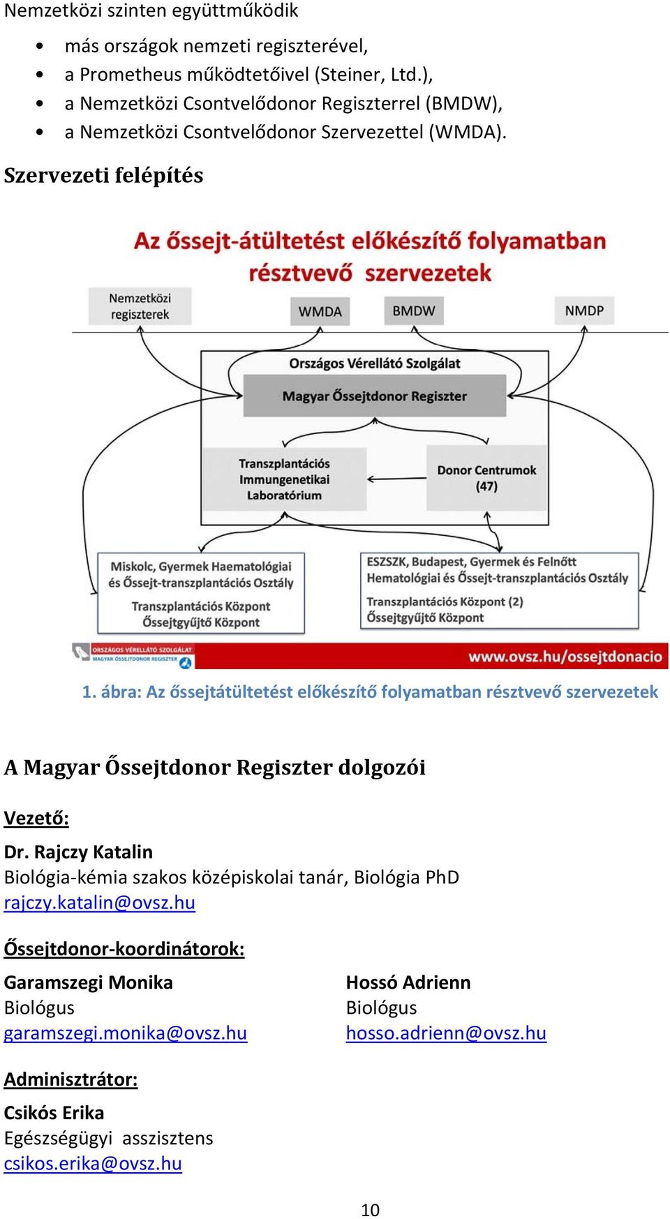 ábra: Az őssejtátültetést előkészítő folyamatban résztvevő szervezetek A Magyar Őssejtdonor Regiszter dolgozói Vezető: Dr.