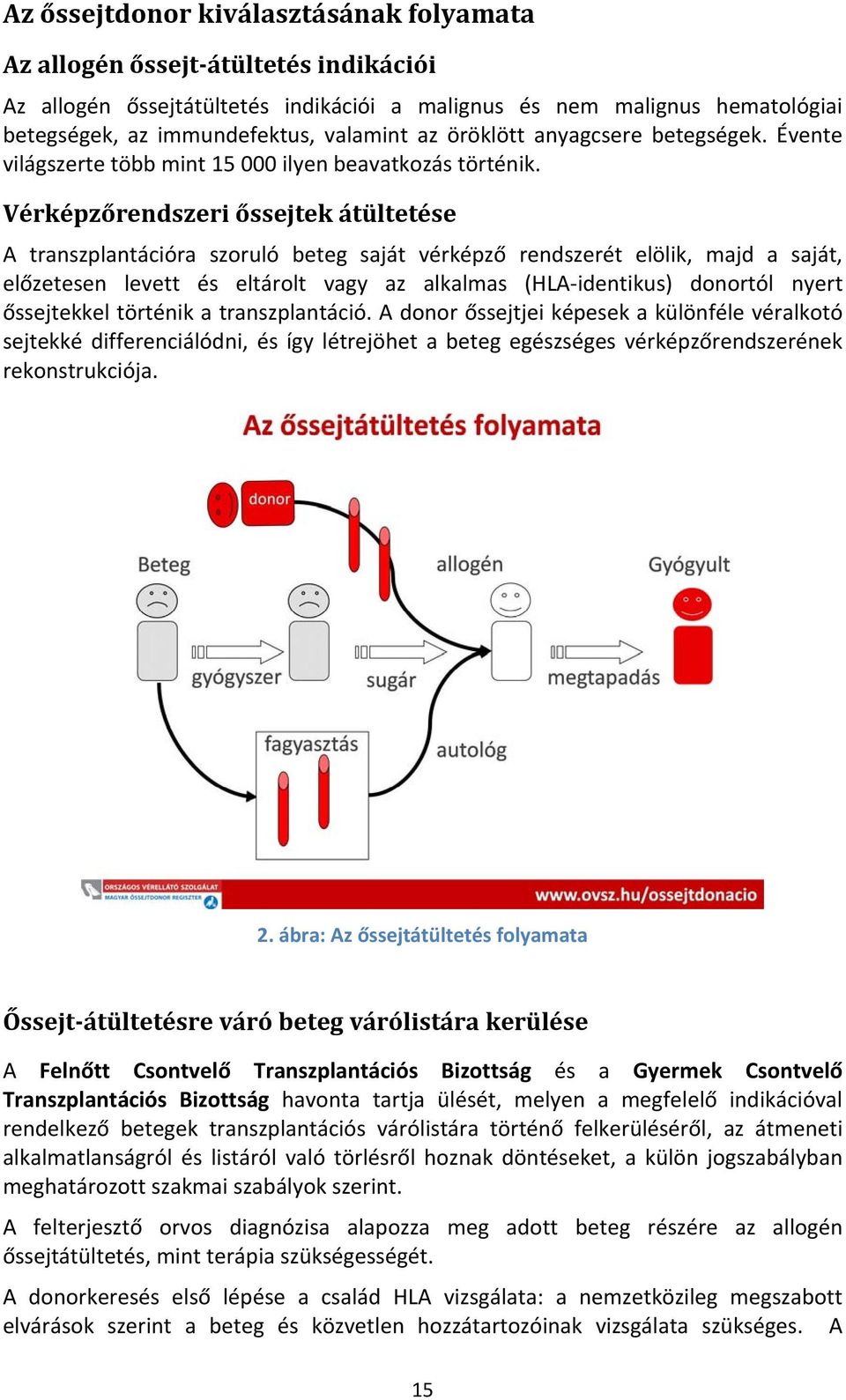 Vérképzőrendszeri őssejtek átültetése A transzplantációra szoruló beteg saját vérképző rendszerét elölik, majd a saját, előzetesen levett és eltárolt vagy az alkalmas (HLA identikus) donortól nyert