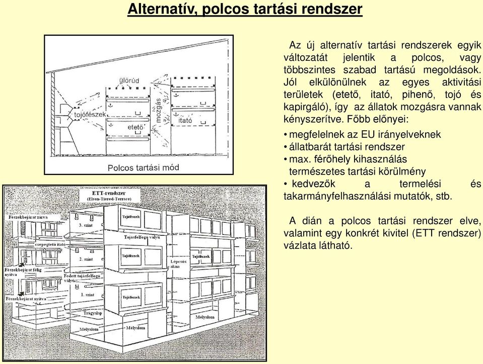 Jól elkülönülnek az egyes aktivitási területek (etető, itató, pihenő, tojó és kapirgáló), így az állatok mozgásra vannak kényszerítve.