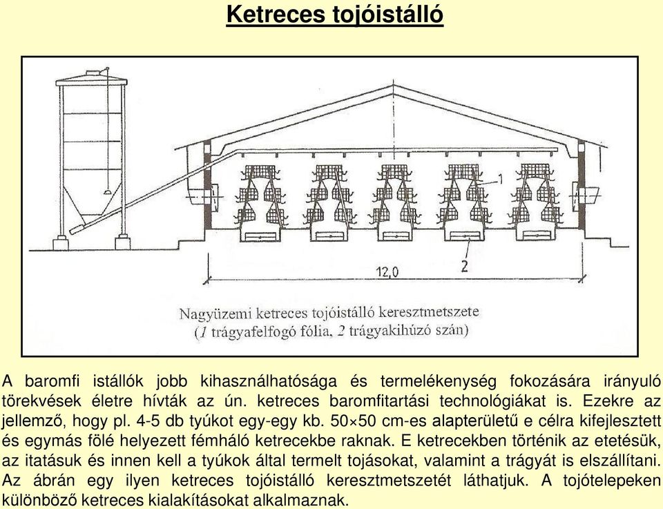 50 50 cm-es alapterületű e célra kifejlesztett és egymás fölé helyezett fémháló ketrecekbe raknak.