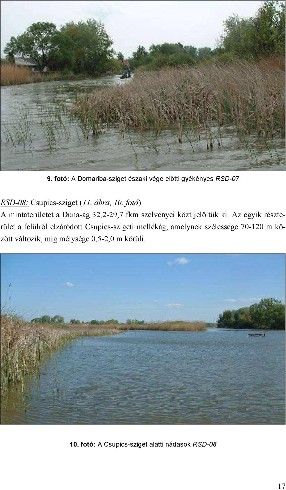 Az egyik részterület a felülről elzáródott Csupics-szigeti mellékág, amelynek szélessége