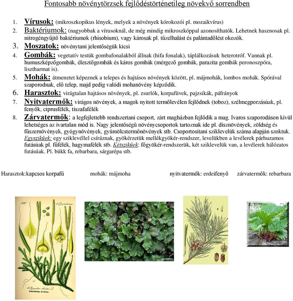 Moszatok: növénytani jelentőségük kicsi 4. Gombák: vegetatív testük gombafonalakból állnak (hifa fonalak), táplálkozásuk heterotróf. Vannak pl.