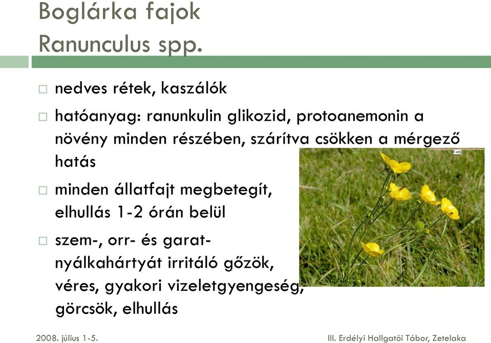 minden részében, szárítva csökken a mérgező hatás minden állatfajt