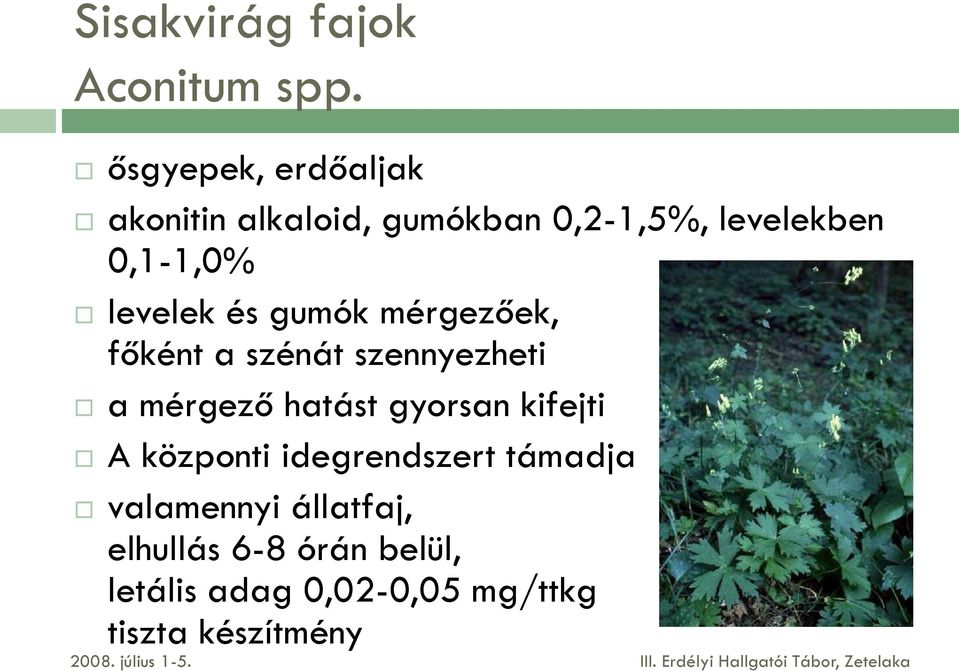levelek és gumók mérgezőek, főként a szénát szennyezheti a mérgező hatást gyorsan