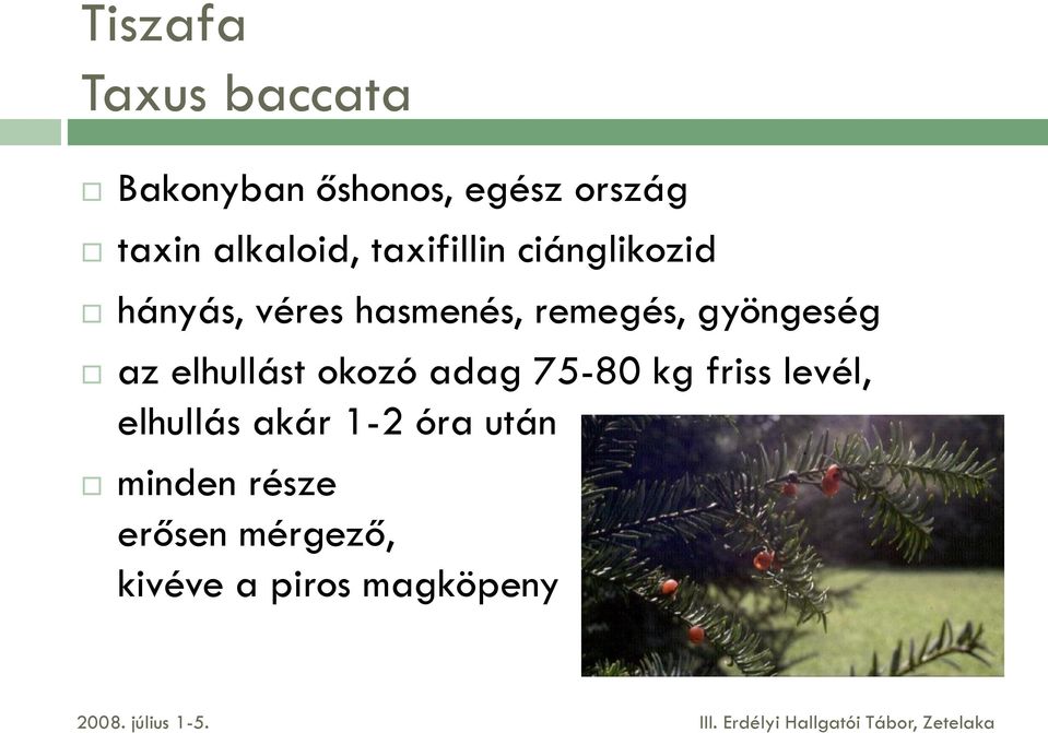 remegés, gyöngeség az elhullást okozó adag 75-80 kg friss levél,