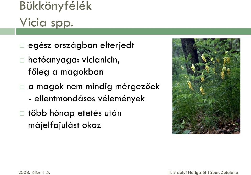 vicianicin, főleg a magokban a magok nem mindig