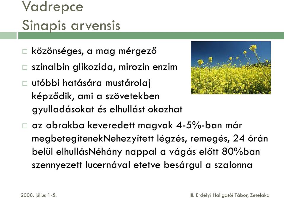 az abrakba keveredett magvak 4-5%-ban már megbetegíteneknehezyített légzés, remegés, 24