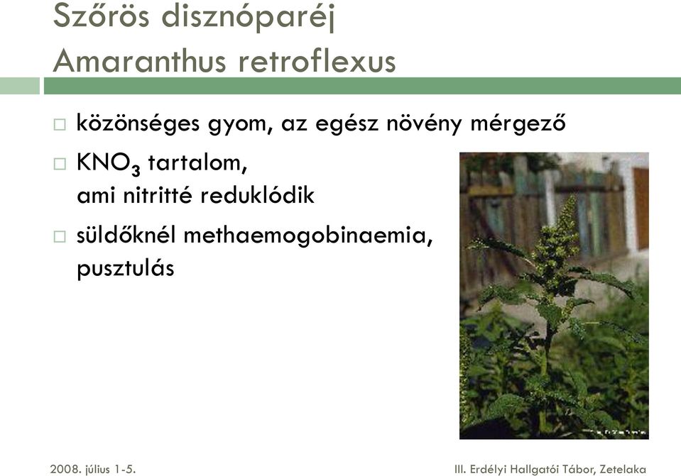 növény mérgező KNO 3 tartalom, ami