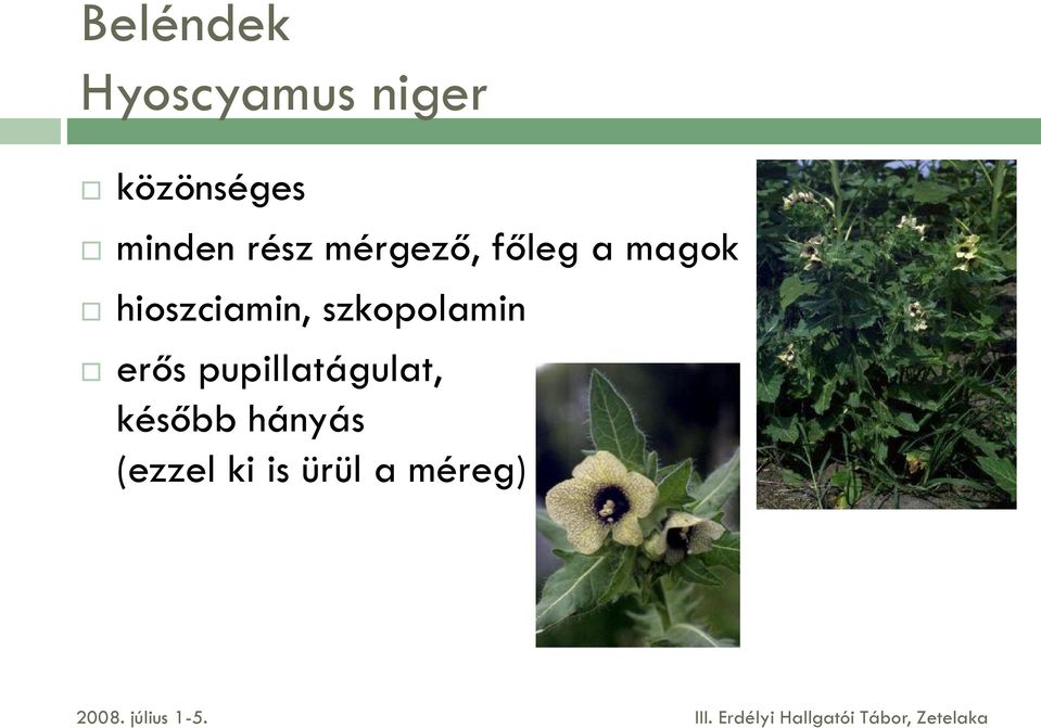 hioszciamin, szkopolamin erős