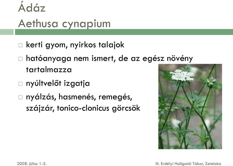 növény tartalmazza nyúltvelőt izgatja