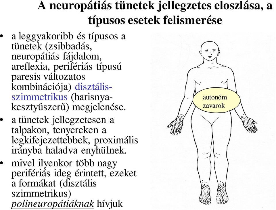 (harisnyakesztyűszerű) megjelenése.