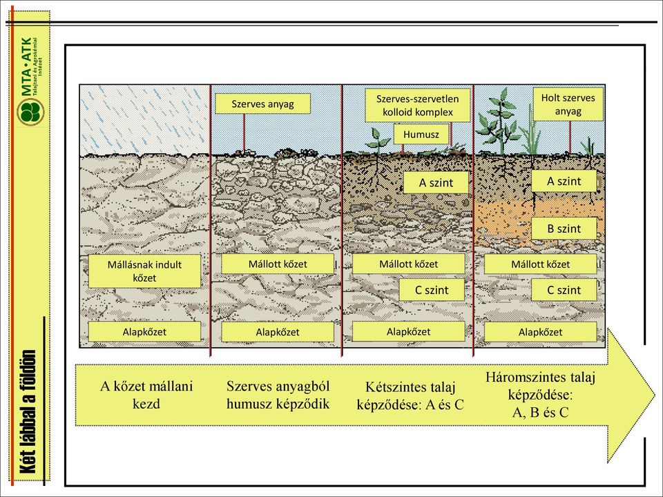 C szint Alapkőzet Alapkőzet Alapkőzet Alapkőzet A kőzet mállani kezd Szerves anyagból