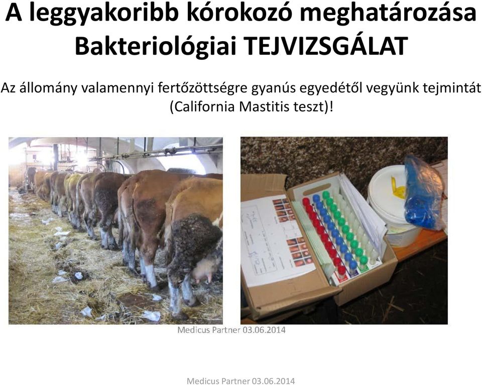 valamennyi fertőzöttségre gyanús