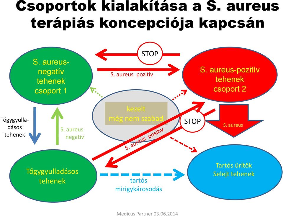 aureus-pozitív tehenek csoport 2 Tógygyulladásos tehenek S.