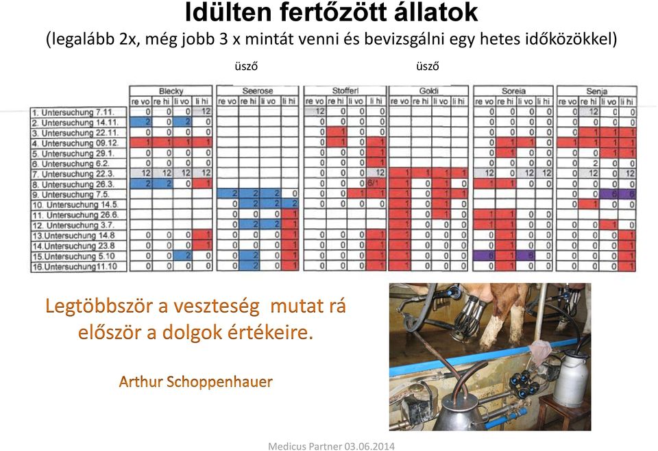 időközökkel) üsző Kalbin üsző Kalbin