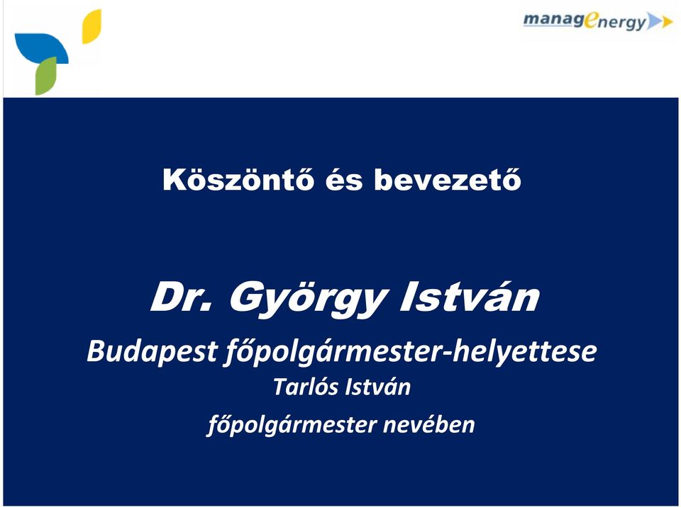 főpolgármester-helyettese