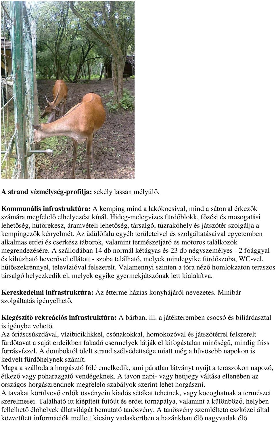 Az üdülıfalu egyéb területeivel és szolgáltatásaival egyetemben alkalmas erdei és cserkész táborok, valamint természetjáró és motoros találkozók megrendezésére.