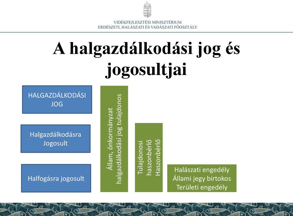 HALGAZDÁLKODÁSI JOG Halgazdálkodásra Jogosult Halfogásra