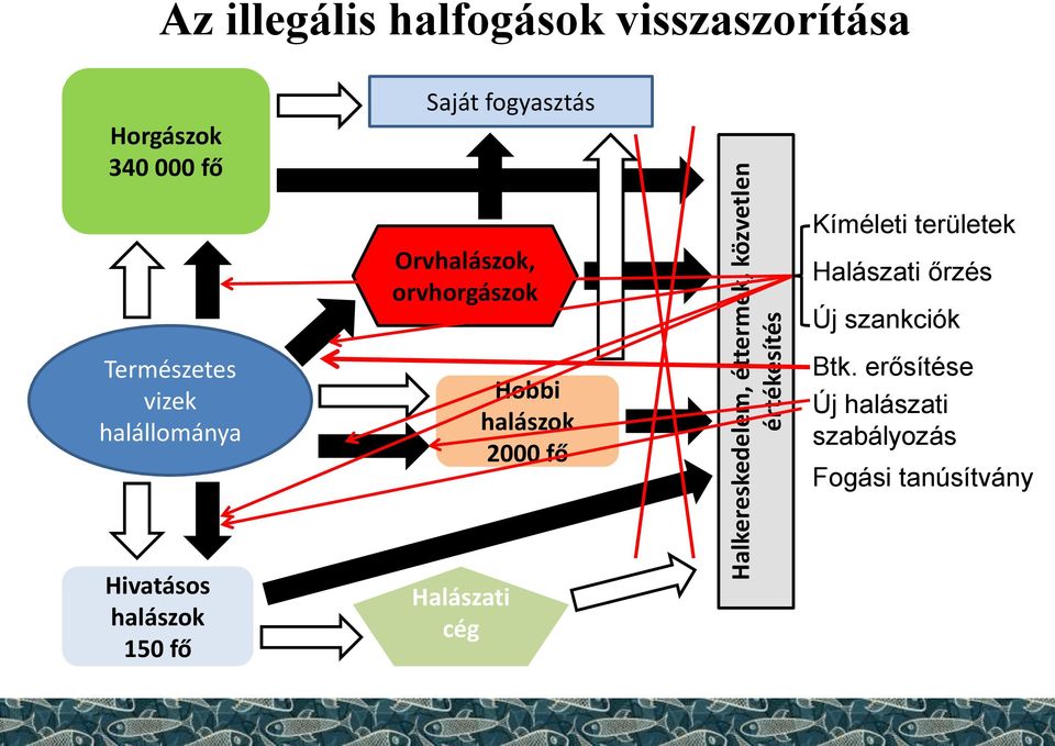 orvhorgászok Hobbi halászok 2000 fő Kíméleti területek Halászati őrzés Új szankciók Btk.