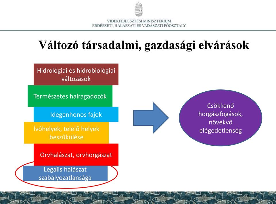 fajok Ívóhelyek, telelő helyek beszűkülése Csökkenő horgászfogások,