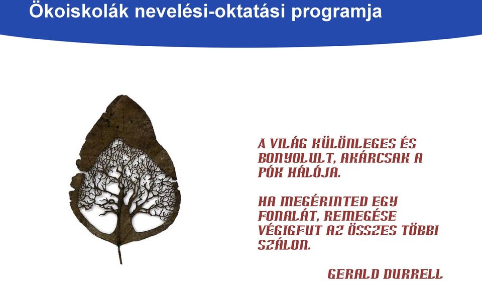 Ha megérinted egy fonalát,